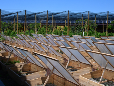 AKBA Federation and KANACH ARAHET NGO Green training Center first course for farms