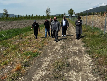 Այց Վրաստան. հանդիպումներ TELAGRI ընկերության հետ