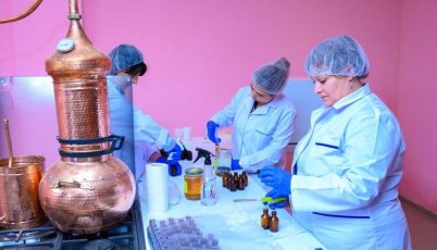 Production of natural vegetable oils was established in Spitak