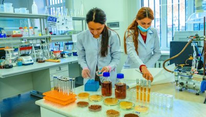 One of the challenges faced by the biologists' startup "Mykoff" is acquiring valuable materials through waste processing.