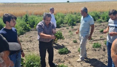 Training Courses by Green Lane Company for the Farmers of Shirak Province, Supported by ACBA Federation