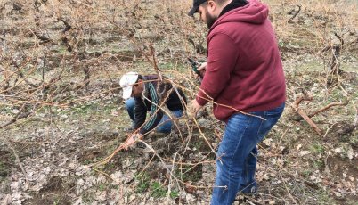 Վայոց Ձորի մարզում տնական գինու որակի բարձրացում, տնայնագործ գինեգործներին մասնագիտական կրթություն և աջակցություն
