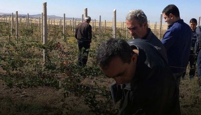 ՀՀ համայնքներում փորձարարական տնտեսությունների ձևավորում