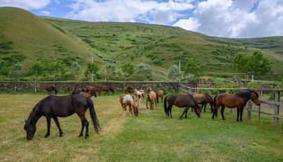 Գեղարքունիքի մարզի Դրախտիկ գյուղում Կարեն Ղալեչյանը ձիավարության ու բնության սիրահարների համար ստեղծել է յուրահատուկ վայր՝ «Երամակը»